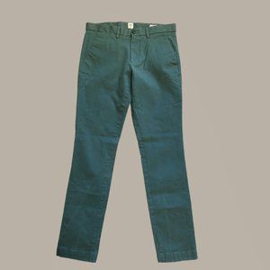 EUC Gap green/silver 31 chinos